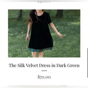 Flower and IVY Velvet Green Dress NWT
